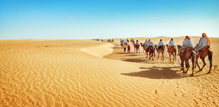 Rajasthan Desert Paradise Tour